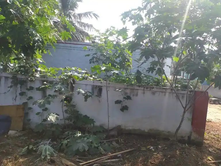 Arulmigu Palaniandavar Temple, Kulaiyur, Gonur - 636404 அருள்மிகு பழனி ஆண்டவர் திருக்கோயில், Kulaiyur, Gonur - 636404, Salem - Ancient Temple Architecture and History Image 3