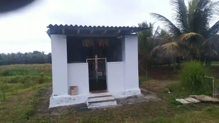 Arulmigu Palaniandavar Temple, Mettupalayam - 642110 அருள்மிகு பழனியாண்டவர் திருக்கோயில், Mettupalayam - 642110, Coimbatore - Ancient Temple Architecture and History Image 4