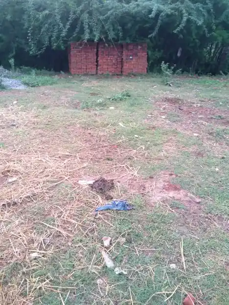 Arulmigu Palaniyadaar Temple, Kacthnam - 610201 Arulmigu Palaniyadaar Temple, Kacthnam - 610201, Nagapattinam - Ancient Temple Architecture and History Image 5