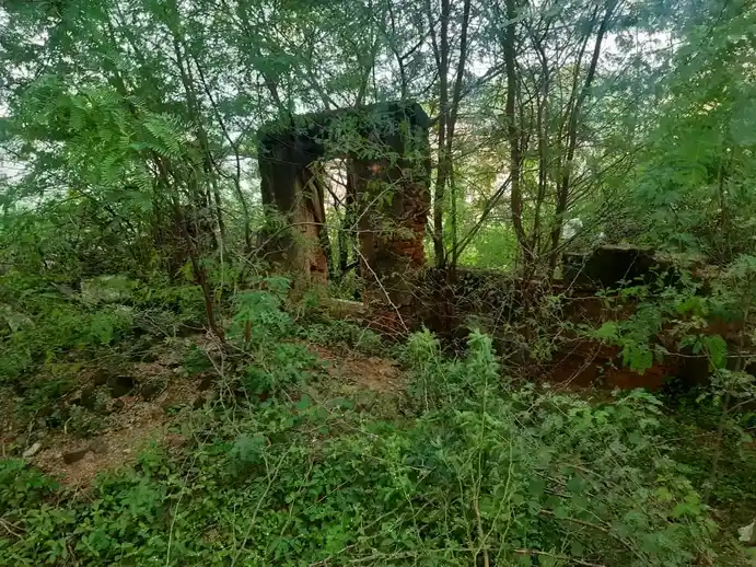 Arulmigu Palaniyandavar Temple, Latsathoppu, Thanjavur - 613004 அருள்மிகு பழநியாண்டவர் சுவாமி திருக்கோயில், Latsathoppu, Thanjavur - 613004, Thanjavur - Ancient Temple Architecture and History Image 4