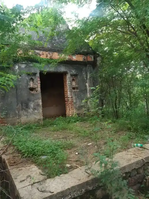 Arulmigu Palaniyandavar Temple, Latsathoppu, Thanjavur - 613004 அருள்மிகு பழநியாண்டவர் சுவாமி திருக்கோயில், Latsathoppu, Thanjavur - 613004, Thanjavur - Ancient Temple Architecture and History Image 6