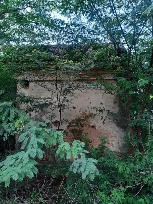 Arulmigu Palaniyandavar Temple, Latsathoppu, Thanjavur - 613004 அருள்மிகு பழநியாண்டவர் சுவாமி திருக்கோயில், Latsathoppu, Thanjavur - 613004, Thanjavur - Ancient Temple Architecture and History Image 9