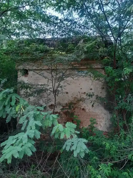 Arulmigu Palaniyandavar Temple, Latsathoppu, Thanjavur - 613004 அருள்மிகு பழநியாண்டவர் சுவாமி திருக்கோயில், Latsathoppu, Thanjavur - 613004, Thanjavur - Ancient Temple Architecture and History Image 10