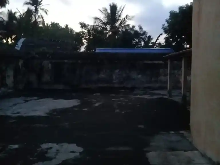 Arulmigu Palaniyandavar Temple, Mannargudi - 614001