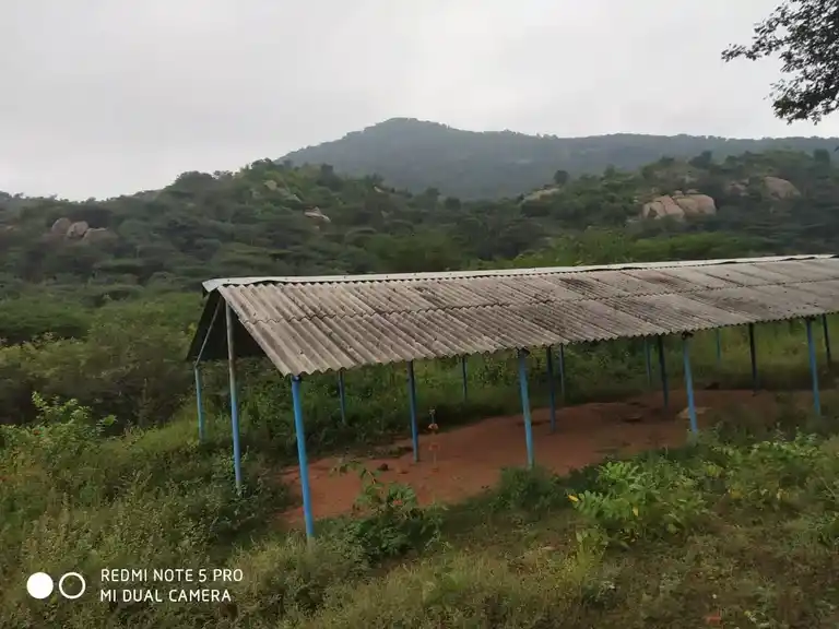 Arulmigu Palaniyandavar Temple, Sekkarappatty - 636104 அருள்மிகு பழனியாண்டவர் திருக்கோயில், Sekkarappatty - 636104, Salem - Ancient Temple Architecture and History Image 6