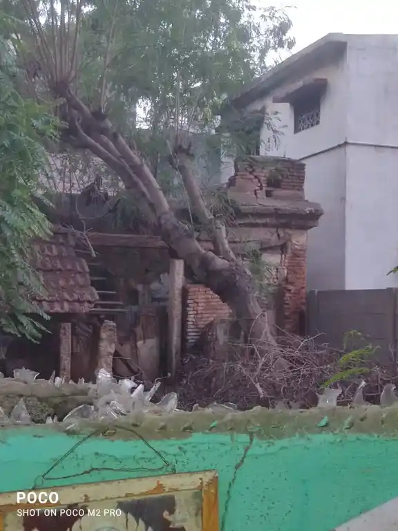 Arulmigu Palaniyandavar Temple, Uyyakondan Thirumalai - 620102