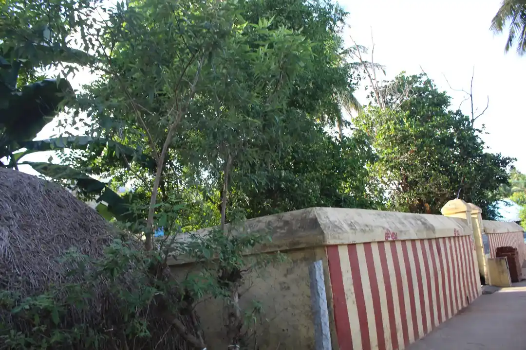 Arulmigu Palasavaneswarer Temple, Nallur - 612605 அருள்மிகு பலாசவனேஸ்வரர் திருக்கோயில், Nallur - 612605, Thanjavur - Ancient Temple Architecture and History Image 2