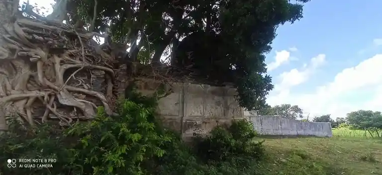 Arulmigu Palasubramaniya Swami Temple, Thillaiyadi - 609310 அருள்மிகு பாலசுப்ரமணிய சுவாமி திருக்கோயில், Thillaiyadi - 609310, Mayiladuthurai - Ancient Temple Architecture and History Image 2