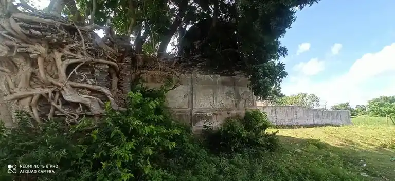Arulmigu Palasubramaniya Swami Temple, Thillaiyadi - 609310 அருள்மிகு பாலசுப்ரமணிய சுவாமி திருக்கோயில், Thillaiyadi - 609310, Mayiladuthurai - Ancient Temple Architecture and History Image 4