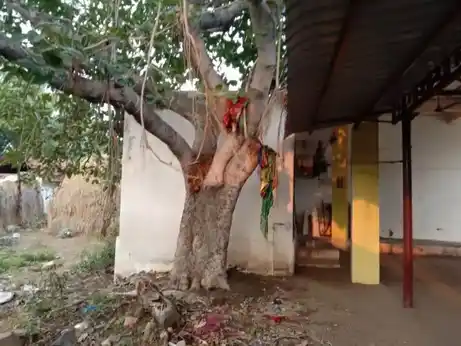 Arulmigu Palavesakaarar Temple, Sivanthipatti, Sivanthipatti - 627011 அருள்மிகு பலவேசக்காரன் திருக்கோயில், சிவந்திப்பட்டி, சிவந்திப்பட்டி - 627011, Tirunelveli - Ancient Temple Architecture and History Image 5