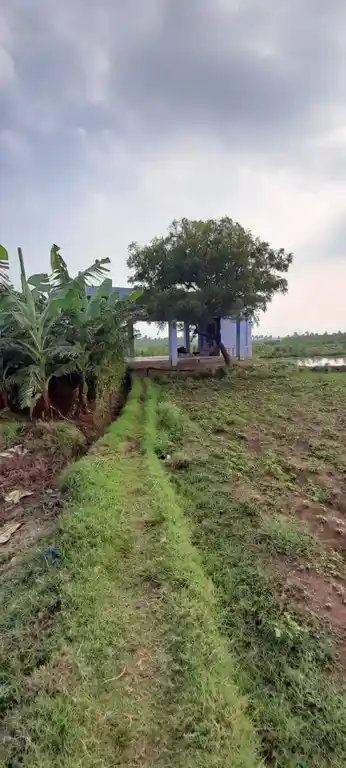 Arulmigu Palavudaiyar Sastha Temple, Klaunkadu - 627852 Arulmigu Palavudaiyar Sastha Temple, Klaunkadu - 627852, Tenkasi - Ancient Temple Architecture and History Image 2