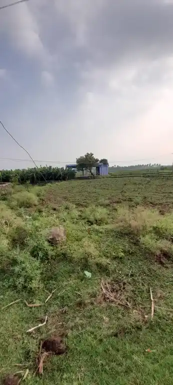 Arulmigu Palavudaiyar Sastha Temple, Klaunkadu - 627852 Arulmigu Palavudaiyar Sastha Temple, Klaunkadu - 627852, Tenkasi - Ancient Temple Architecture and History Image 3