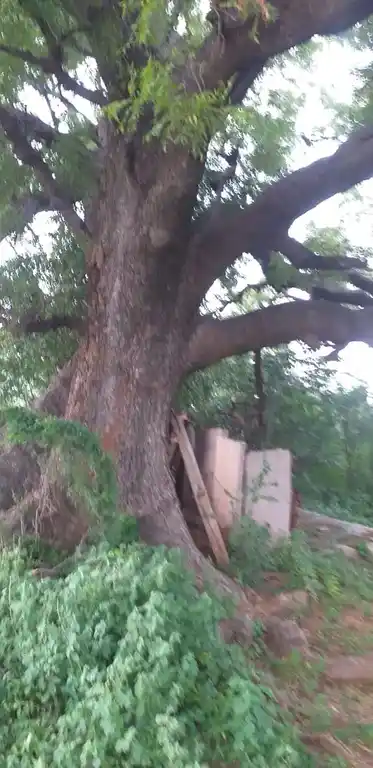 Arulmigu Palayamkotai Mariamman Temple And Muniyappa Swamy Temple, Palayam - 624620 அருள்மிகு பாளையம் கோட்டை மாரியம்மன் கோயில், Palayam - 624620, Dindigul - Ancient Temple Architecture and History Image 3
