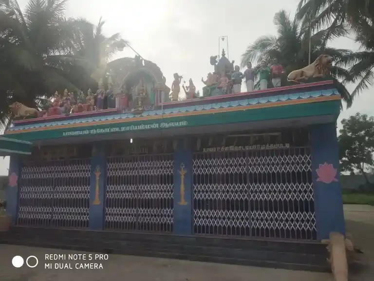 Arulmigu Palayamkotai Mariamman Temple And Muniyappa Swamy Temple, Palayam - 624620 அருள்மிகு பாளையம் கோட்டை மாரியம்மன் கோயில், Palayam - 624620, Dindigul - Ancient Temple Architecture and History Image 8