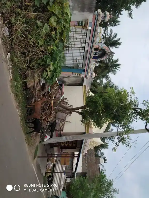 Arulmigu Paleshwarar Temple, Thumbavanam, Kancheepuram - 631502 பர்கீஸ்வரர் திருக்கோயில், Thumbavanam, Kancheepuram - 631502, Kancheepuram - Ancient Temple Architecture and History Image 5