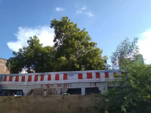 Arulmigu Palikanjiya Vinayagar Temple, Sivakasi Town, Sivakasi. - 626123 அருள்மிகு பழிக்கஞ்சிய விநாயகர் திருக்கோயில், சிவகாசி நகர் - 626123, Virudhunagar - Ancient Temple Architecture and History Image 2