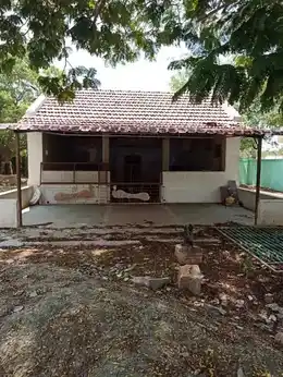 Arulmigu Palladathamman Temple, Poomalur - 641663 அருள்மிகு பல்லடத்தம்மன் திருக்கோயில், Poomalur - 641663, Tiruppur - Ancient Temple Architecture and History Image 2