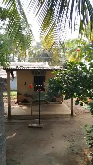 Arulmigu Palladathamman Temple, Semmandampalayam - 641668 Arulmigu Palladathamman Temple, Semmandampalayam - 641668, Coimbatore - Ancient Temple Architecture and History Image 3