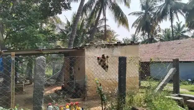 Arulmigu Palladathamman Temple, Semmandampalayam - 641668 Arulmigu Palladathamman Temple, Semmandampalayam - 641668, Coimbatore - Ancient Temple Architecture and History Image 4