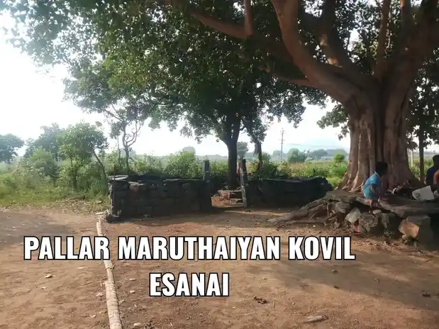 Arulmigu Pallarmaruthaiyan Temple, Esanai - 621219 அருள்மிகு பல்லர்மருதையான் திருக்கோயில், Esanai - 621219, Perambalur - Ancient Temple Architecture and History Image 2