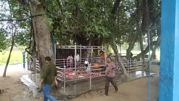 Arulmigu Pallathukaruppanar Temple, Pattanam - 637408 அருள்மிகு பள்ளத்துகருப்பனார் திருக்கோயில், Pattanam - 637408, Namakkal - Ancient Temple Architecture and History Image 4