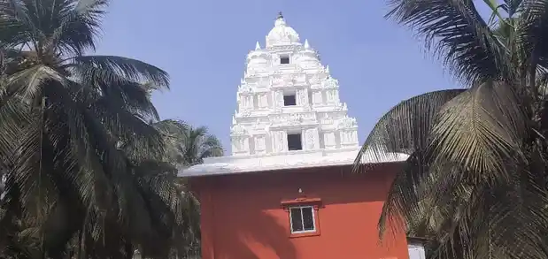 Arulmigu Pallathupathi Narayanaswamy Temple, Usaravilai - 629603 Arulmigu Pallathupathi Narayanaswamy Temple, Usaravilai - 629603, Kanyakumari - Ancient Temple Architecture and History Image 3
