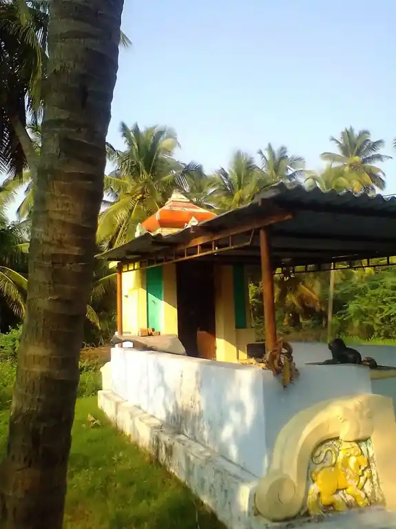 Arulmigu Palliamman Temple, Kottur - 642114 அருள்மிகு பள்ளியம்மன் திருக்கோயில், கோட்டூர் - 642114, Coimbatore - Ancient Temple Architecture and History Image 3