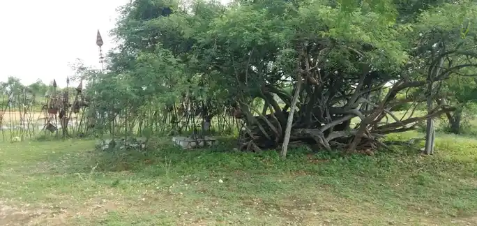 Arulmigu Paluperutha Karuppannaswamy Temple, Nallamuthupalayam - 621313 அருள்மிகு பழுபெருத்த கருப்பண்ணசாமி திருக்கோயில், Nallamuthupalayam - 621313, Karur - Ancient Temple Architecture and History Image 2