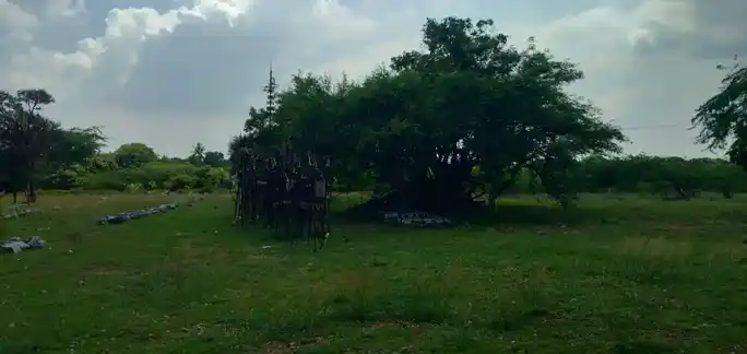 Arulmigu Paluperutha Karuppannaswamy Temple, Nallamuthupalayam - 621313 அருள்மிகு பழுபெருத்த கருப்பண்ணசாமி திருக்கோயில், Nallamuthupalayam - 621313, Karur - Ancient Temple Architecture and History Image 3