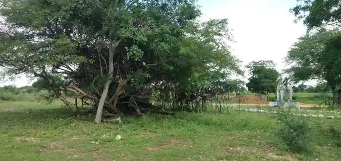 Arulmigu Paluperutha Karuppannaswamy Temple, Nallamuthupalayam - 621313 அருள்மிகு பழுபெருத்த கருப்பண்ணசாமி திருக்கோயில், Nallamuthupalayam - 621313, Karur - Ancient Temple Architecture and History Image 4