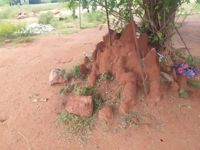 Arulmigu Pambalamman Temple, Sandhuvarpatty - 639001