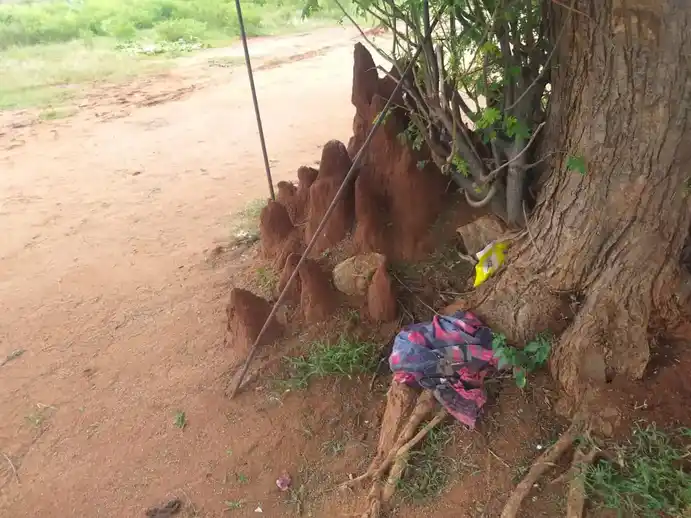 Arulmigu Pambalamman Temple, Sandhuvarpatty - 639001 அருள்மிகு பாம்பாலம்மன் திருக்கோயில், Sandhuvarpatty - 639001, Karur - Ancient Temple Architecture and History Image 2