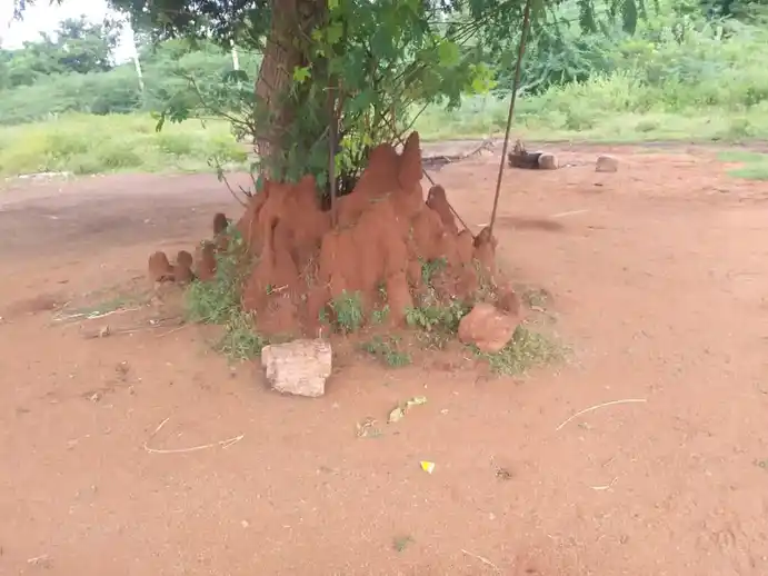 Arulmigu Pambalamman Temple, Sandhuvarpatty - 639001 அருள்மிகு பாம்பாலம்மன் திருக்கோயில், Sandhuvarpatty - 639001, Karur - Ancient Temple Architecture and History Image 4