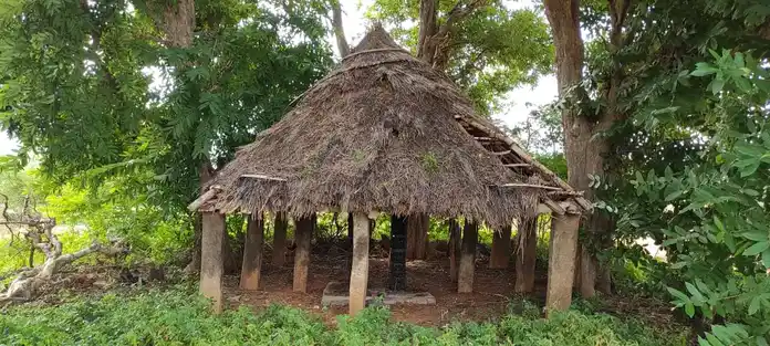 Arulmigu Pambarakkodanki Maalaikoil, Naganoor - 621313