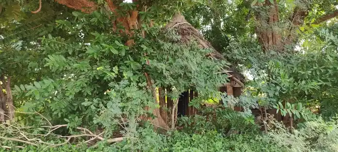 Arulmigu Pambarakkodanki Maalaikoil, Naganoor - 621313 அருள்மிகு பம்பரக்கோடாங்கி மாலைக்கோயில், நாகனூர், குளித்தலை, கரூர். கோயில்,  - 621313, Karur - Ancient Temple Architecture and History Image 2