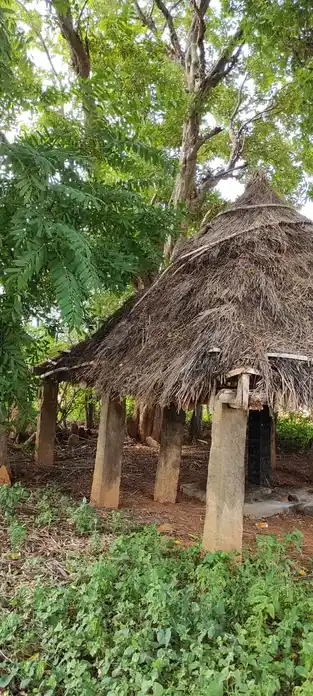 Arulmigu Pambarakkodanki Maalaikoil, Naganoor - 621313 அருள்மிகு பம்பரக்கோடாங்கி மாலைக்கோயில், நாகனூர், குளித்தலை, கரூர். கோயில்,  - 621313, Karur - Ancient Temple Architecture and History Image 4