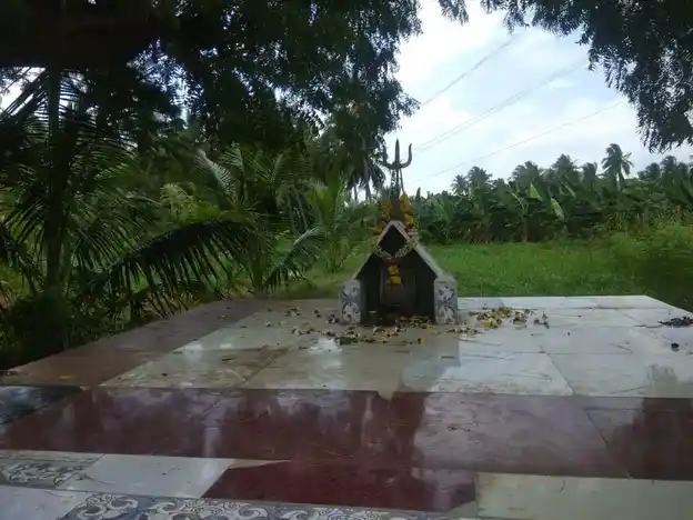 Arulmigu Pambhalamman Temple, Veeralimayanpatty - 624220 அருள்மிகு பாம்பாளம்மன் திருக்கோயில், Veeralimayanpatty - 624220, Dindigul - Ancient Temple Architecture and History Image 2