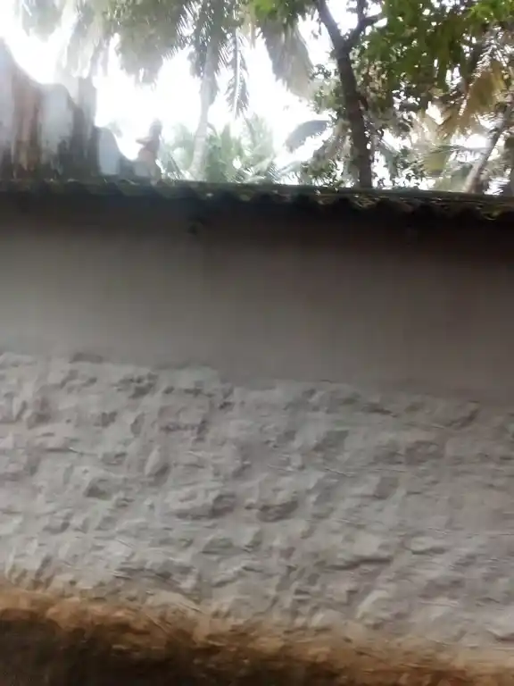 Arulmigu Pammathumoolai Sastha Temple, Karakandeswaram, Thirunainarkurichi - 629175 Arulmigu Pammathumoolai Sastha Temple, Karakandeswaram, Thirunainarkurichi - 629175, Kanyakumari - Ancient Temple Architecture and History Image 2