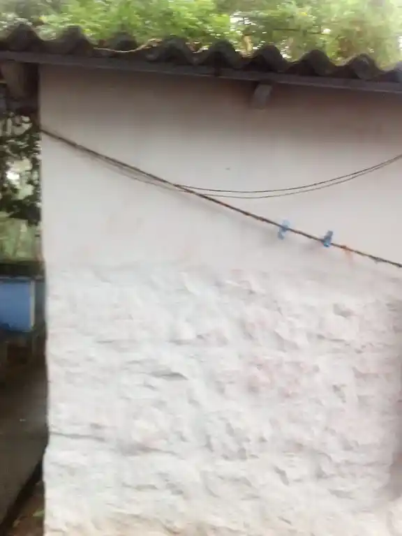 Arulmigu Pammathumoolai Sastha Temple, Karakandeswaram, Thirunainarkurichi - 629175 Arulmigu Pammathumoolai Sastha Temple, Karakandeswaram, Thirunainarkurichi - 629175, Kanyakumari - Ancient Temple Architecture and History Image 3