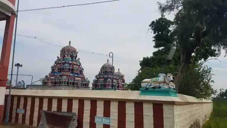 Arulmigu Pampalankara Swamy Temple, Punjaikolanalli, Kodumudi - 638154 அருள்மிகு பாம்பலங்காரசாமி திருக்கோயில், Punjaikolanalli, Kodumudi - 638154, Erode - Ancient Temple Architecture and History Image 9