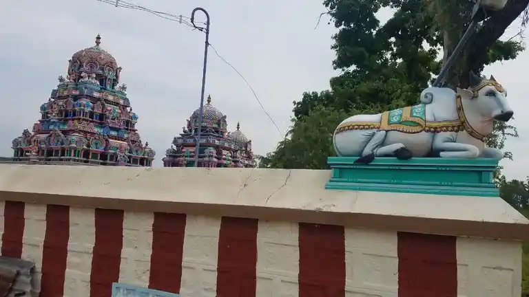 Arulmigu Pampalankara Swamy Temple, Punjaikolanalli, Kodumudi - 638154 அருள்மிகு பாம்பலங்காரசாமி திருக்கோயில், Punjaikolanalli, Kodumudi - 638154, Erode - Ancient Temple Architecture and History Image 10