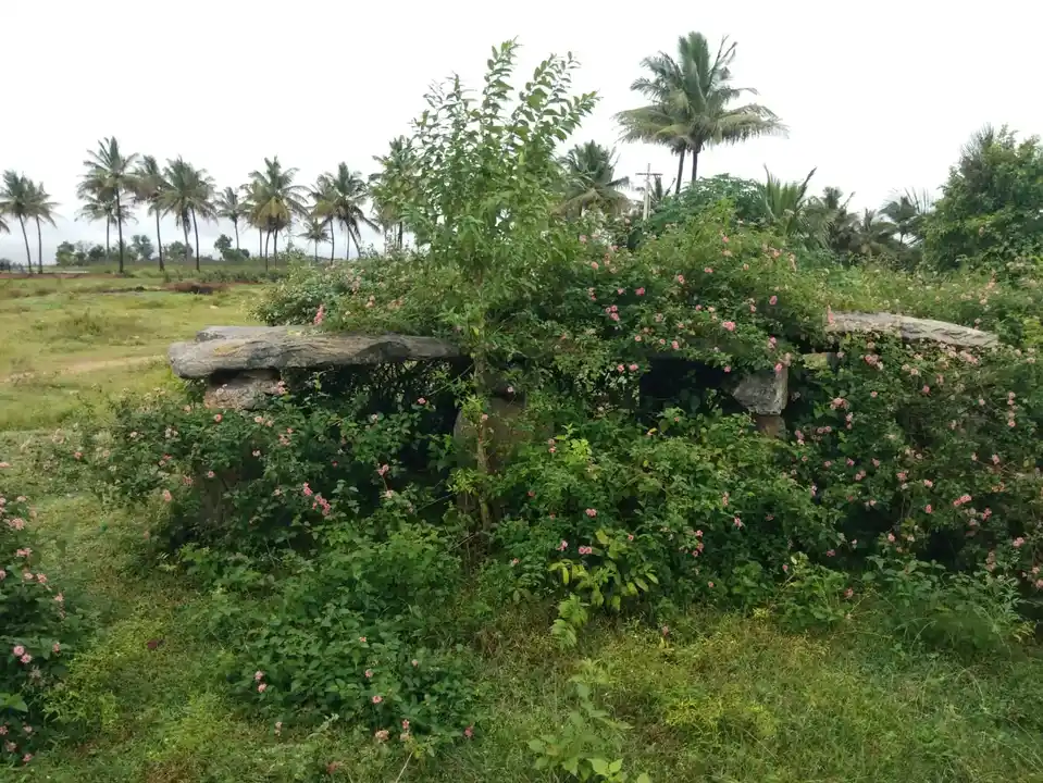 Arulmigu Panaganthotti Thimmarayaswamy Temple, Panaganthotti - 635117 Arulmigu Panaganthotti Thimmarayaswamy Temple, Panaganthotti - 635117, Krishnagiri - Ancient Temple Architecture and History Image 2