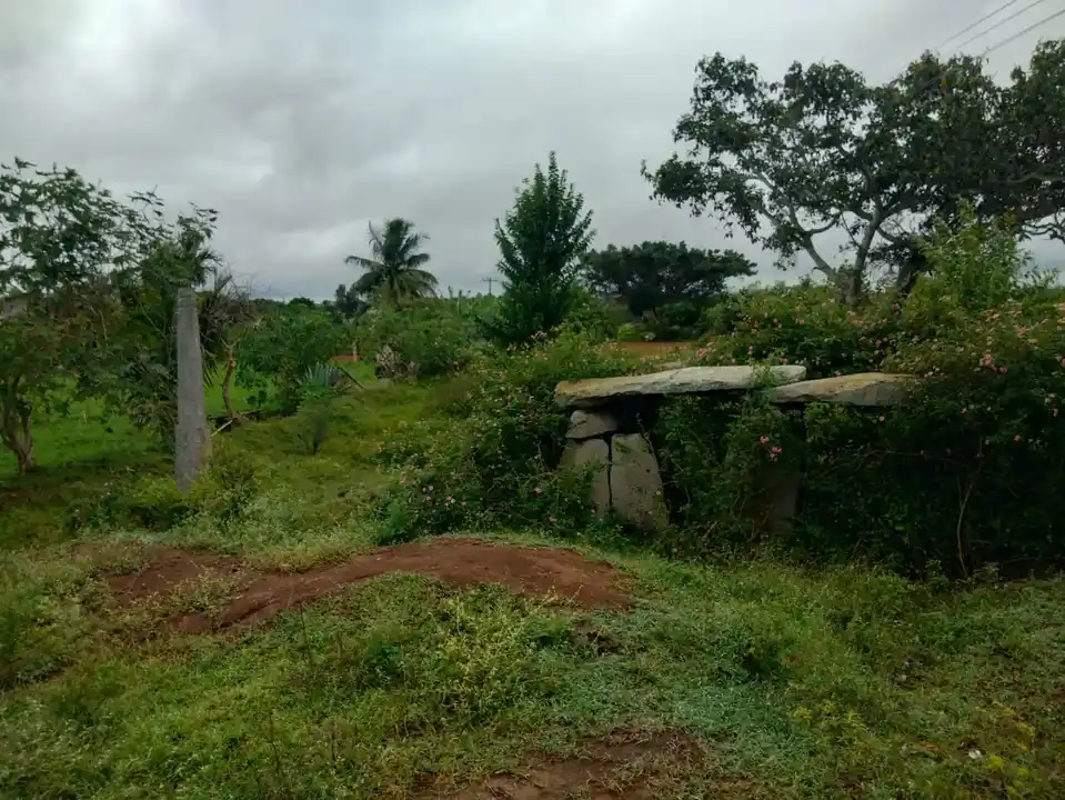 Arulmigu Panaganthotti Thimmarayaswamy Temple, Panaganthotti - 635117 Arulmigu Panaganthotti Thimmarayaswamy Temple, Panaganthotti - 635117, Krishnagiri - Ancient Temple Architecture and History Image 4