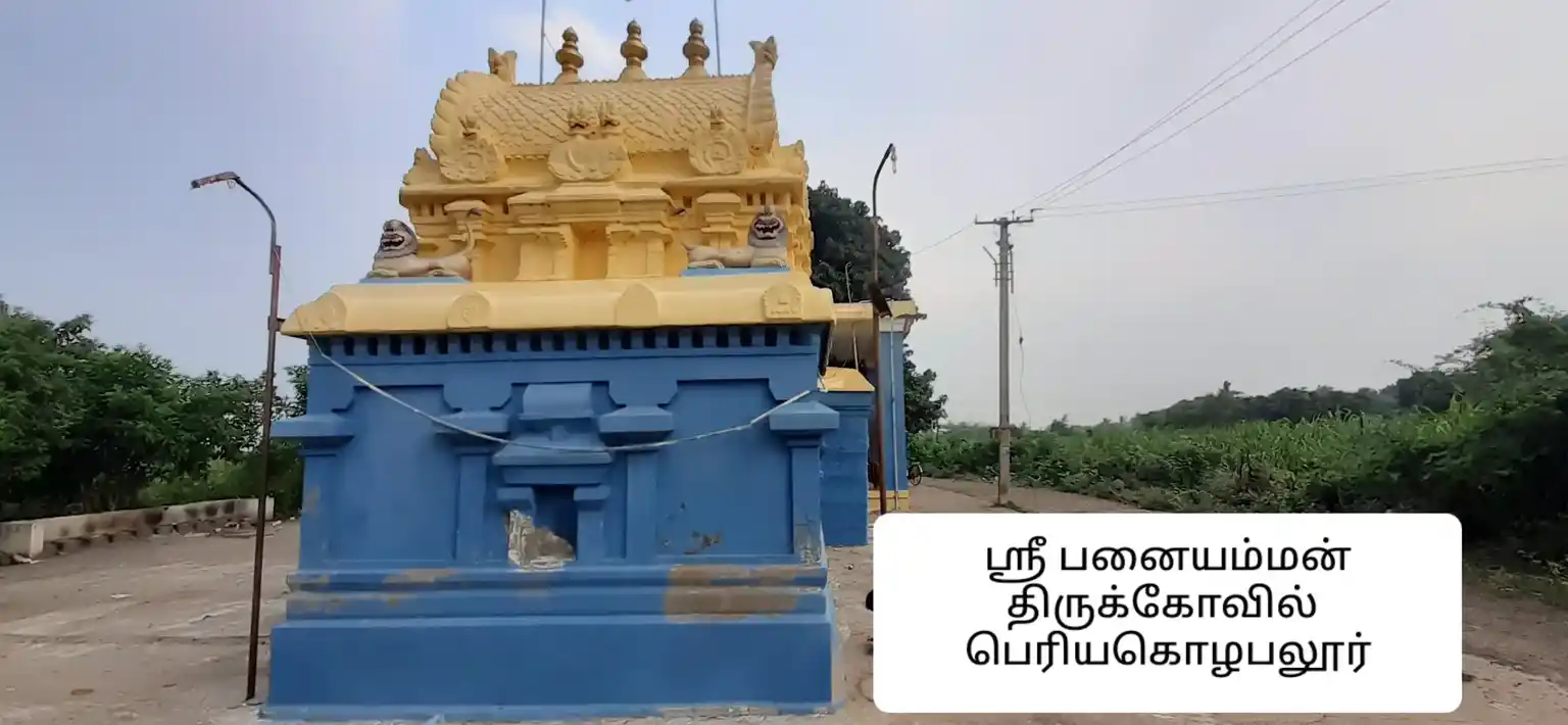 Arulmigu Panaiayamman Temple, Periyakozhapallur - 604406 அருள்மிகு பச்சையம்மன் திருக்கோயில், Periyakozhapallur - 604406, Tiruvannamalai - Ancient Temple Architecture and History Image 7