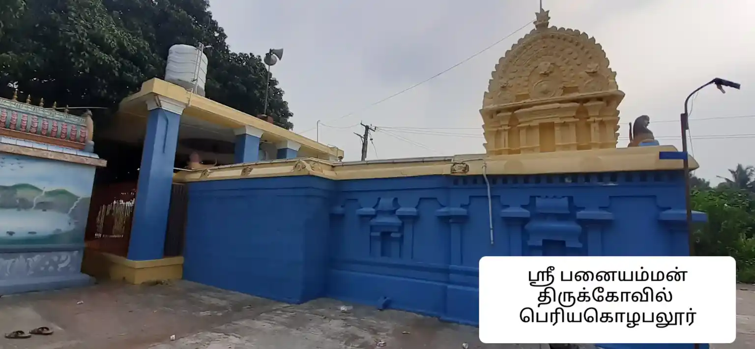 Arulmigu Panaiayamman Temple, Periyakozhapallur - 604406 அருள்மிகு பச்சையம்மன் திருக்கோயில், Periyakozhapallur - 604406, Tiruvannamalai - Ancient Temple Architecture and History Image 8