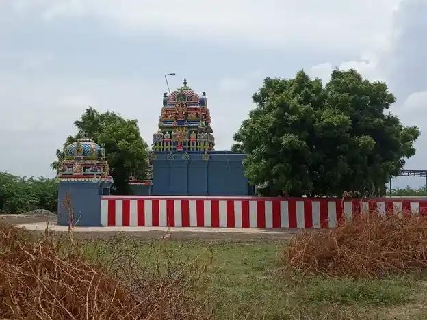 Arulmigu Panaikula Nayagiamman Temple, Sanavayal - 623402