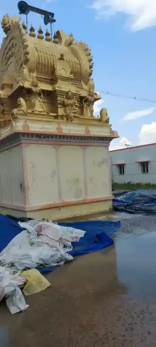 Arulmigu Panaivaliamman Temple, Reddyvalam - 631001 அருள்மிகு பனைவாலியம்மன் திருக்கோயில், ரெட்டிவலம் - 631001, Ranipet - Ancient Temple Architecture and History Image 2