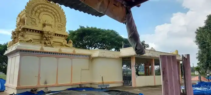 Arulmigu Panaivaliamman Temple, Reddyvalam - 631001 அருள்மிகு பனைவாலியம்மன் திருக்கோயில், ரெட்டிவலம் - 631001, Ranipet - Ancient Temple Architecture and History Image 3