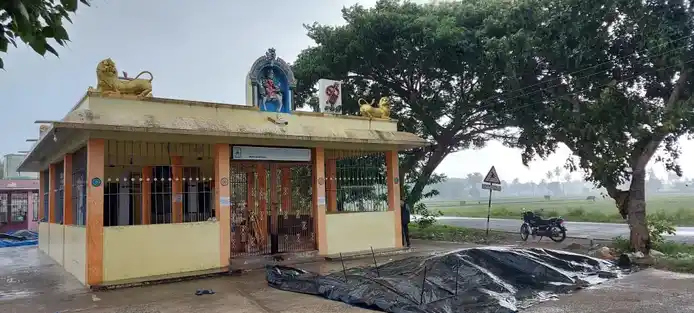 Arulmigu Panaivaliamman Temple, Reddyvalam - 631001 அருள்மிகு பனைவாலியம்மன் திருக்கோயில், ரெட்டிவலம் - 631001, Ranipet - Ancient Temple Architecture and History Image 4