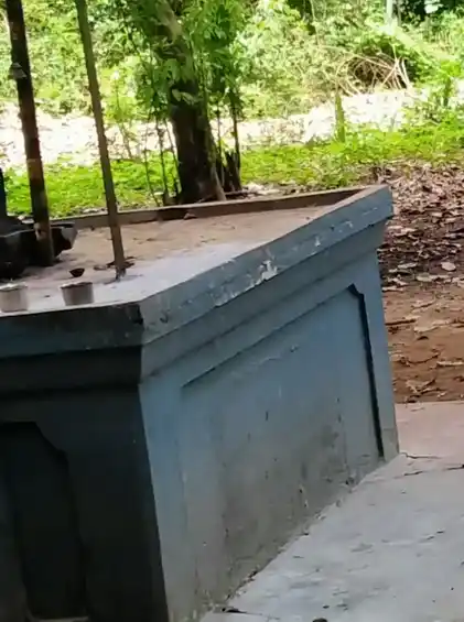 Arulmigu Panaiyadi Karuppanaswamy Temple, Iyampulli - 624610